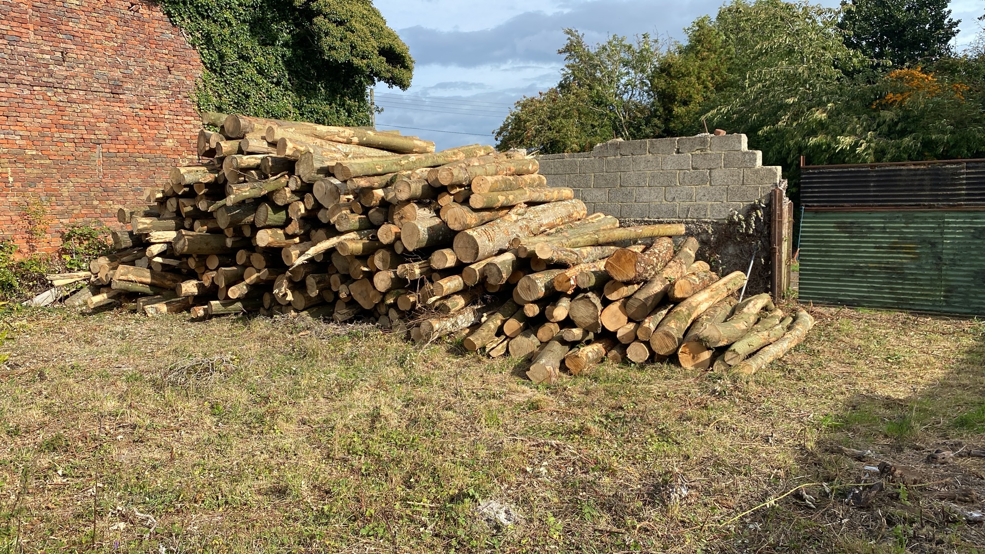 Large stack of firewood provided by Blitz Logs